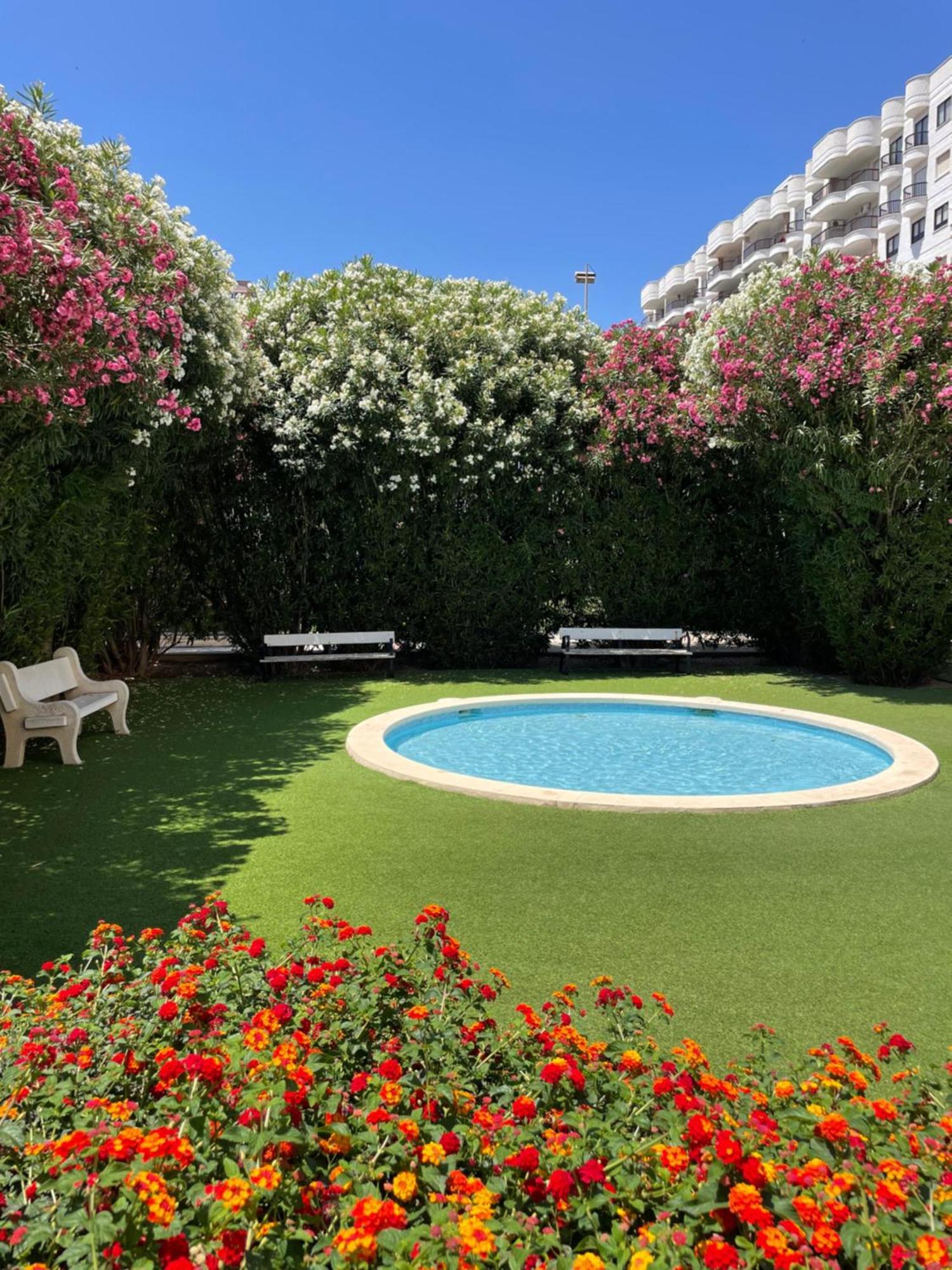 Gandia Boutique Stays - Presidente - Apartamento Premium En Primera Linea De Playa Dış mekan fotoğraf